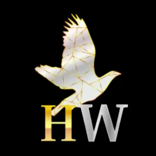 HIBIKIWIN - Permainan QiuQiu Seru dan Menarik